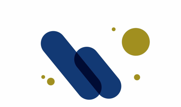 logo seul WSC